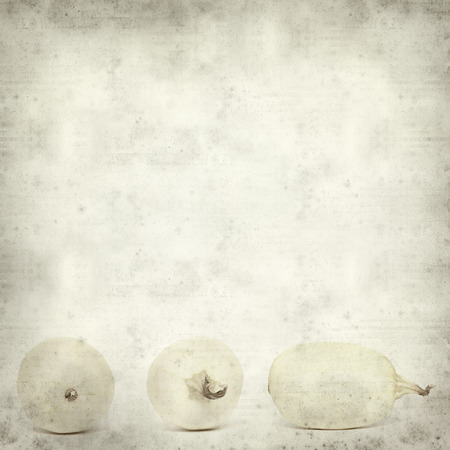 textured old paper background with squashの写真素材