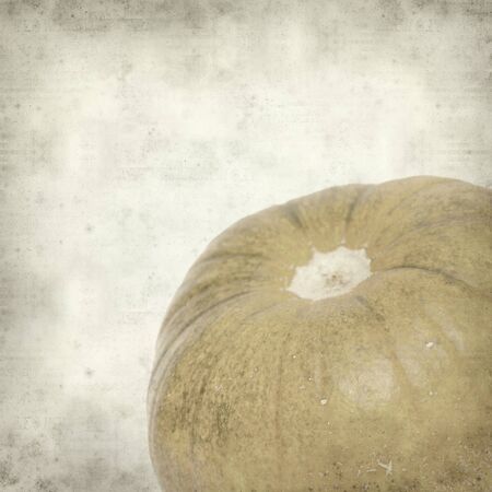 textured old paper background with gourdの写真素材