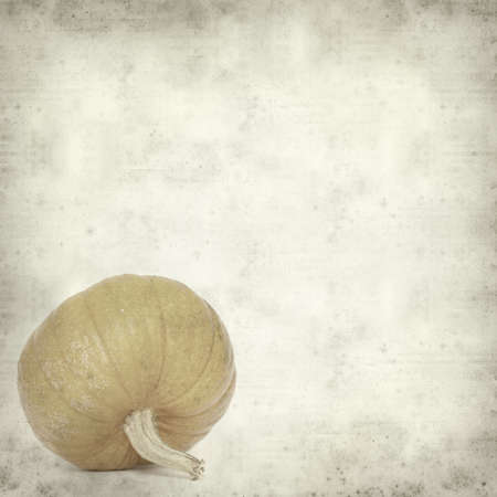 textured old paper background with gourdの写真素材
