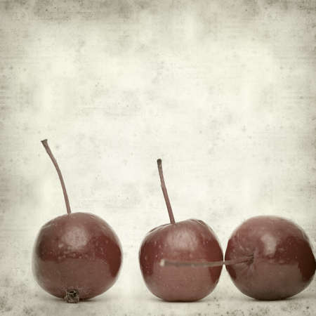 textured old paper background with gourdsの写真素材