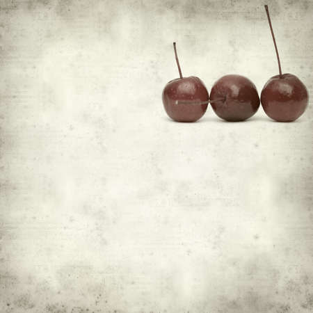 textured old paper background with gourdsの写真素材