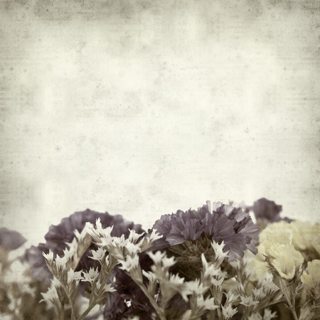textured old paper background with limonium flowersの写真素材