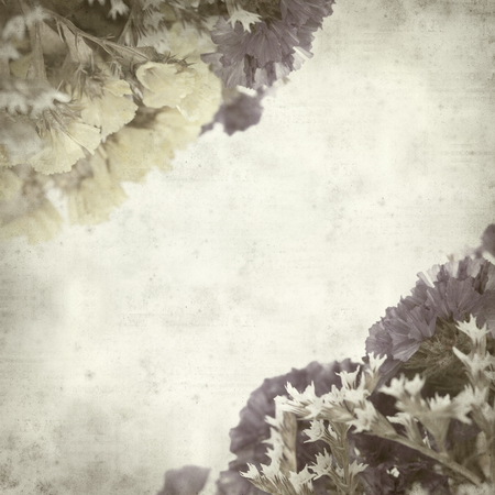textured old paper background with limonium flowersの写真素材