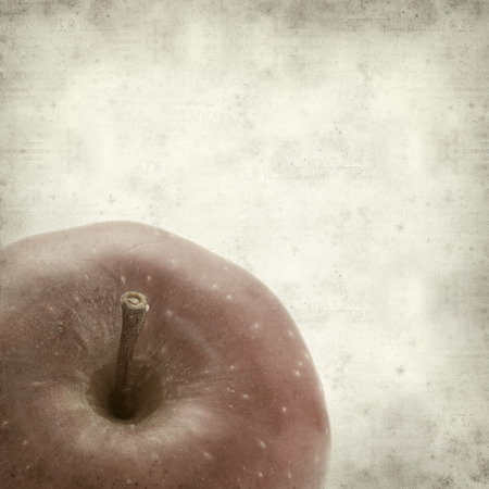 textured old paper background with red appleの写真素材