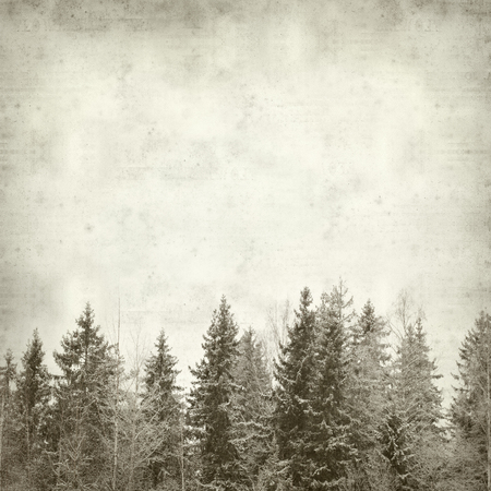 textured old paper background with winter treesの写真素材