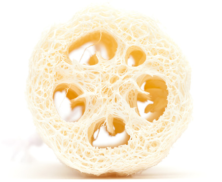 loofah on whiteの写真素材