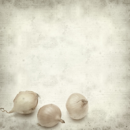 textured old paper with mini onionsの写真素材