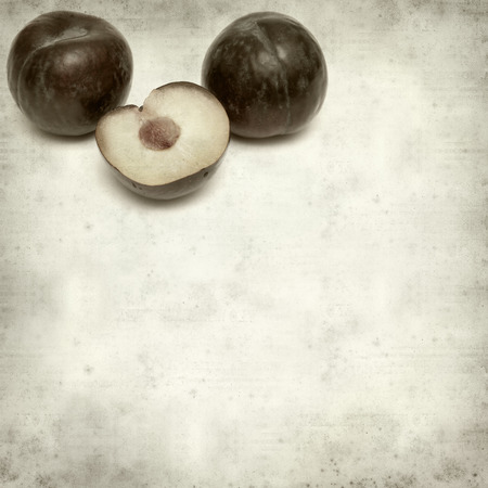 textured old paper background with large dark red plumsの写真素材