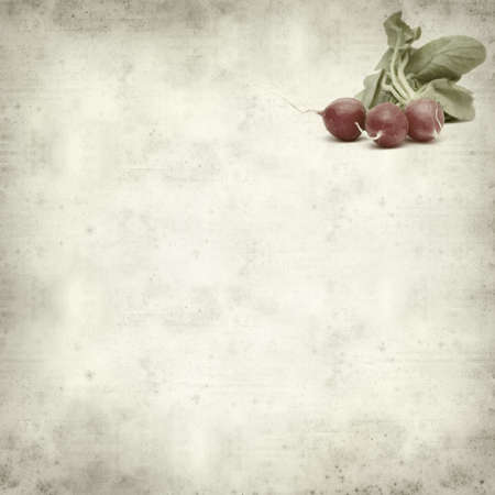 textured old paper background with radish