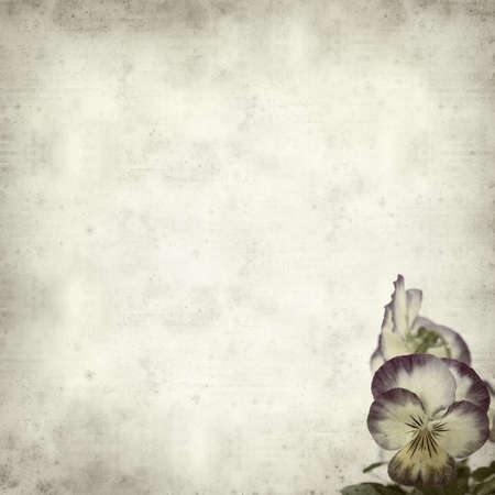 textured old paper background with pansyの写真素材