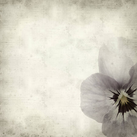textured old paper background with pansyの写真素材