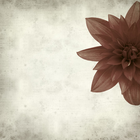 textured old paper background with red dahlia flowerの写真素材