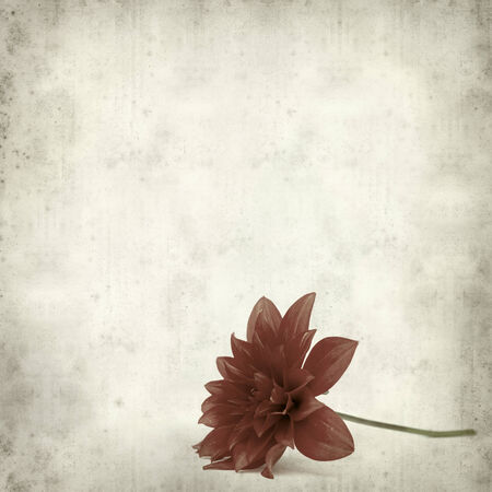 textured old paper background with red dahlia flowerの写真素材