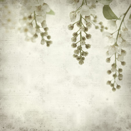 textured old paper background の写真素材