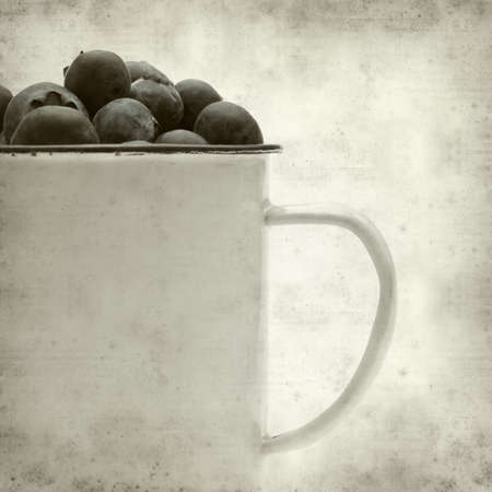 textured old paper background with blueberryの写真素材