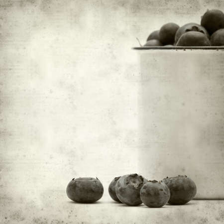 textured old paper background with blueberryの写真素材