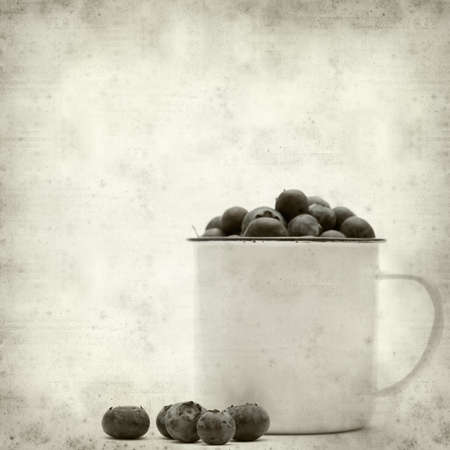 textured old paper background with blueberryの写真素材