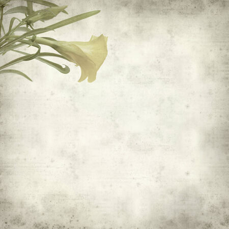 textured old paper background with yellow oleanderの写真素材