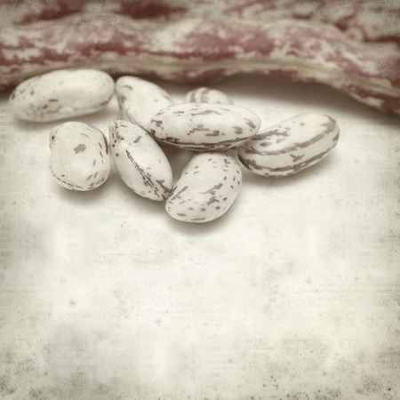 textured old paper background with beans