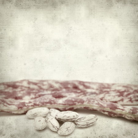 textured old paper background with beans