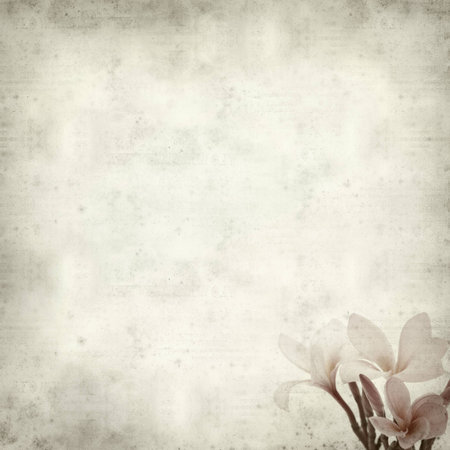 textured old paper background with の写真素材