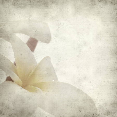 textured old paper background with の写真素材