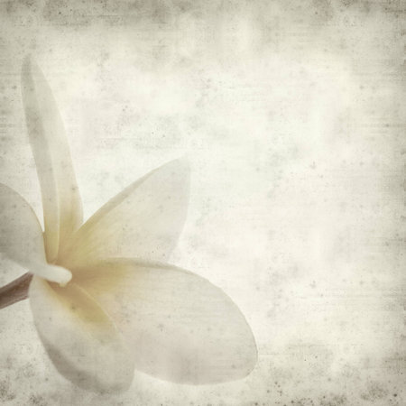 textured old paper background with の写真素材