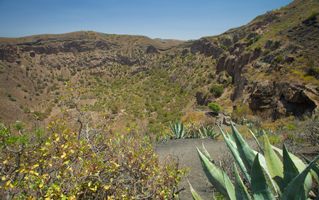 Caldera de Bandama, hiking trailの写真素材