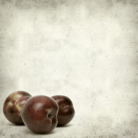 textured old paper background with plumsの写真素材