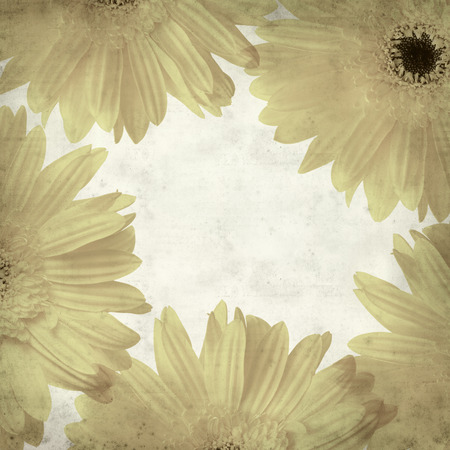 textured old paper background with Gerberaの写真素材