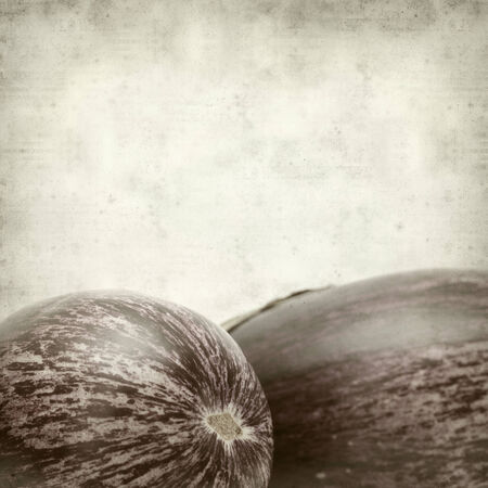 textured old paper background with eggplantの写真素材