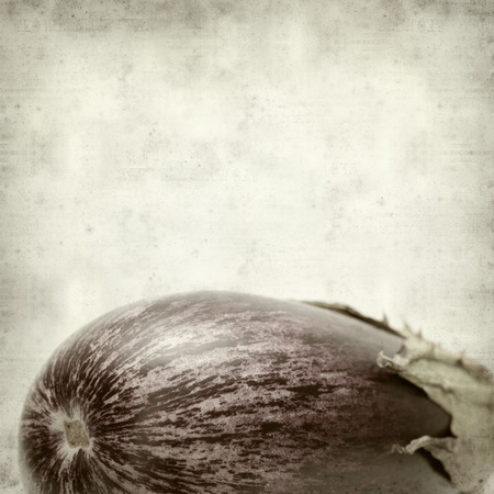 textured old paper background with eggplantの写真素材
