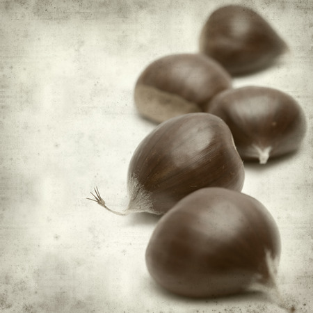 textured old paper background with sweet chestnutの写真素材