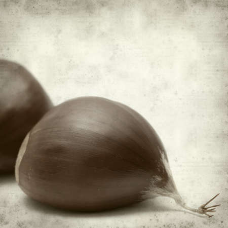 textured old paper background with sweet chestnutの写真素材