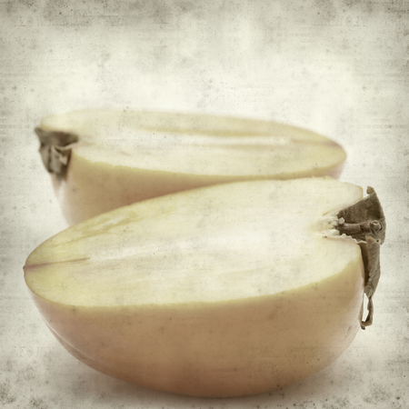 textured old paper background with apanese persimmonの写真素材