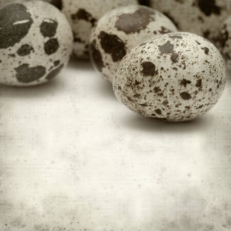 textured old paper background with quail eggsの写真素材