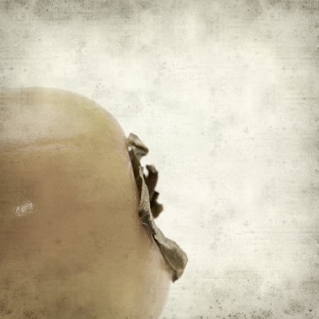 textured old paper background with apanese persimmonの写真素材