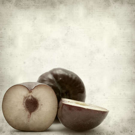 textured old paper background with large red plumsの写真素材