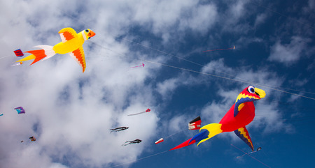 FUERTEVENTURA, SPAIN - NOVEMBER 08: Viewers watch from the ground as multicolored kites fill the sky at 27th International Kite Festival, November 08, 2014 in Dunes of Corralejo, Fuerteventura, Spainのeditorial素材