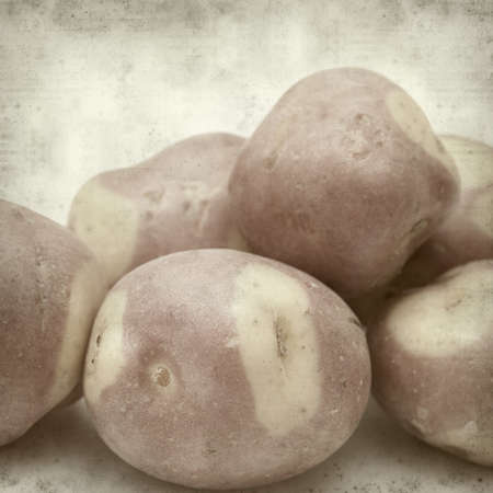 textured old paper background with pink canarian potatoの写真素材