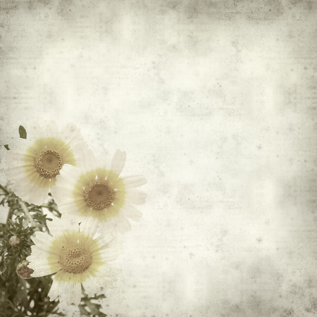 textured old paper background with garland chrysanthemumの写真素材