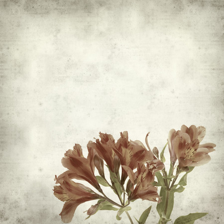 textured old paper background with Alstroemeriaの写真素材