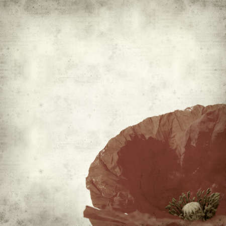 textured old paper background with red poppy flowerの写真素材