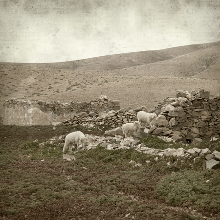 textured old paper background with landscape of Fuerteventuraの写真素材