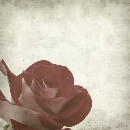 textured old paper background with two-toned rosesの写真素材