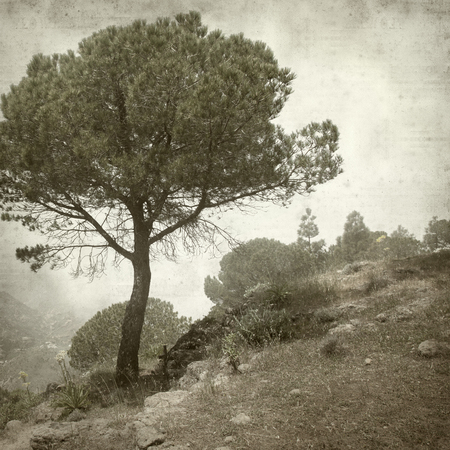 textured old paper background with landscape of Gran Canariaの写真素材