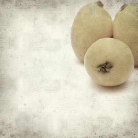 textured old paper background with ripe nispero fruitの写真素材