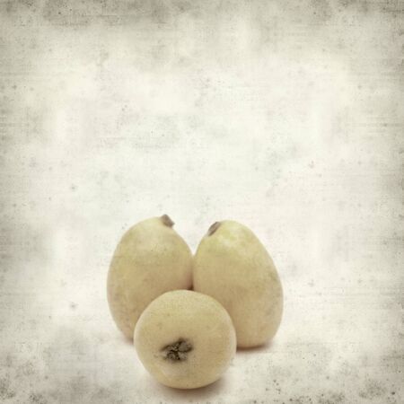 textured old paper background with ripe nispero fruitの写真素材