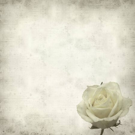 textured old paper background with pale yellow rose flowerの写真素材