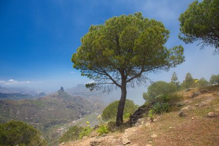 Gran Canaria, Caldera de Tejeda, clouds rolling over the landscapeの写真素材